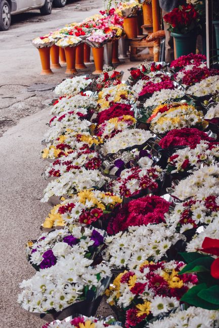An outdoor display of vibrant floral arrangements comprising mixed bouquets mainly of white, red, yellow, and purple chrysanthemums and daisies, arranged in black plastic containers and laid on a conc